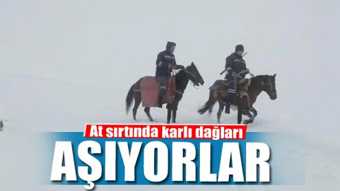 At sırtında karlı dağları aşıyorlar