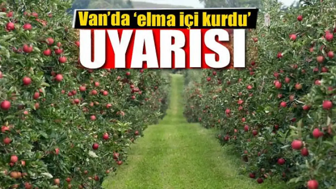 Van'da 'elma içi kurdu' uyarısı 