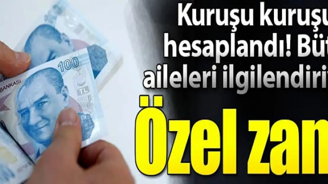 Anneye özel zam! Kuruşu kuruşuna hesaplandı...