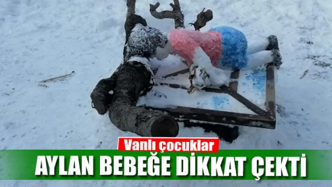 Vanlı çocuklar, Aylan bebeğe dikkat çekti