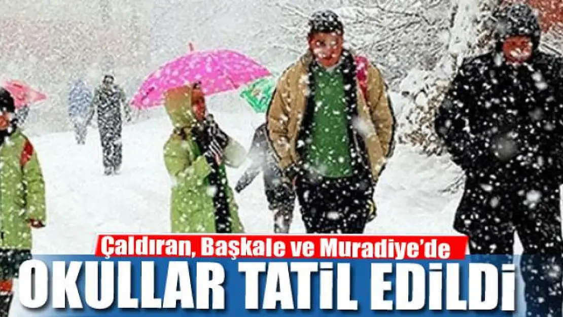 Çaldıran, Başkale ve Muradiye'de kar tatili