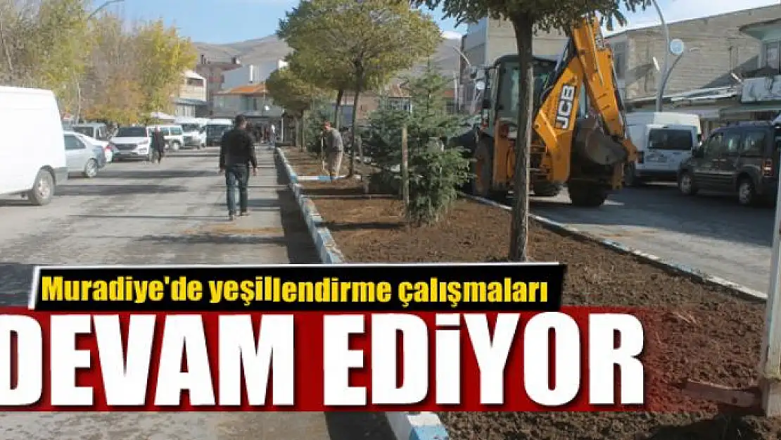 Muradiye'de yeşillendirme çalışmaları 