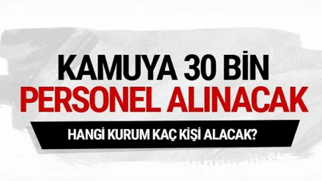 Kamuya 30 bin personel alınıyor hangi kurum kaç personel alacak?