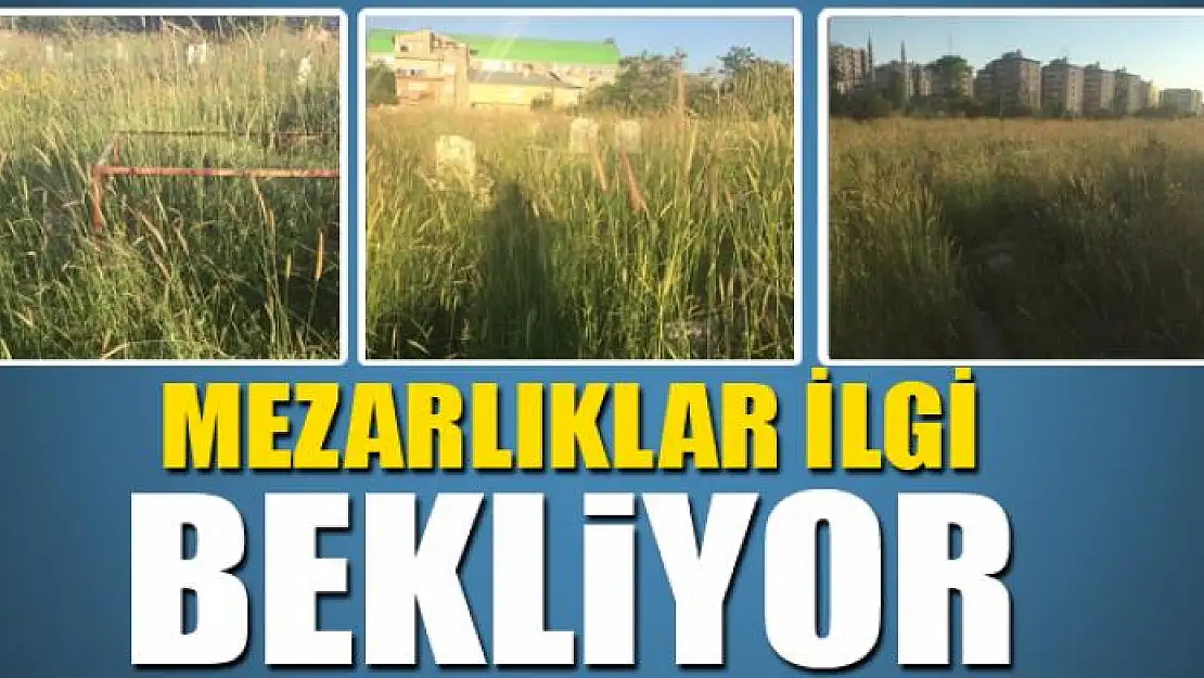 MEZARLIKLAR İLGİ BEKLİYOR