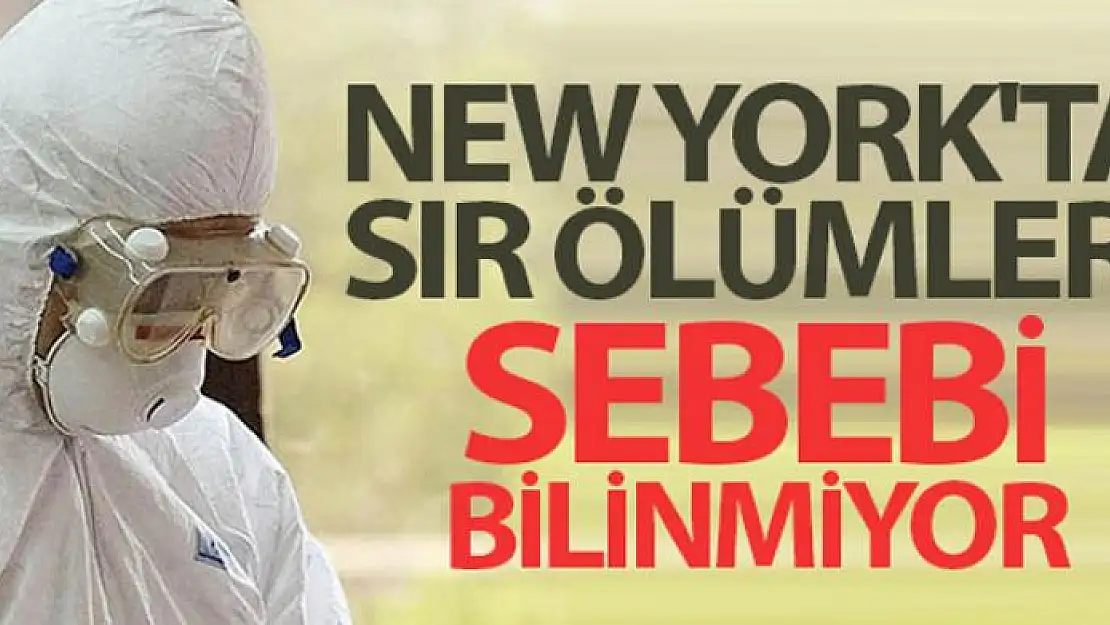 New York'ta 5 binden fazla kişinin ölüm nedeni bilinmiyor