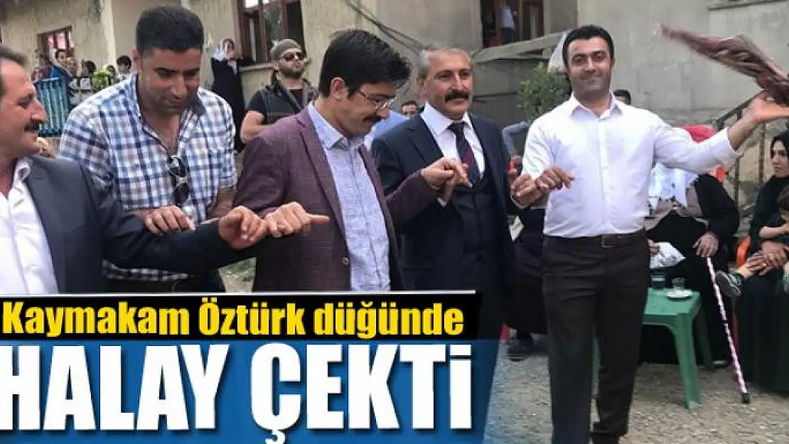 Kaymakam düğünde halay çekti 