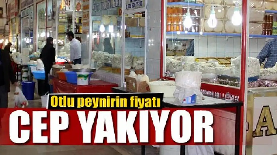 Otlu peynirin fiyatı cep yakıyor 