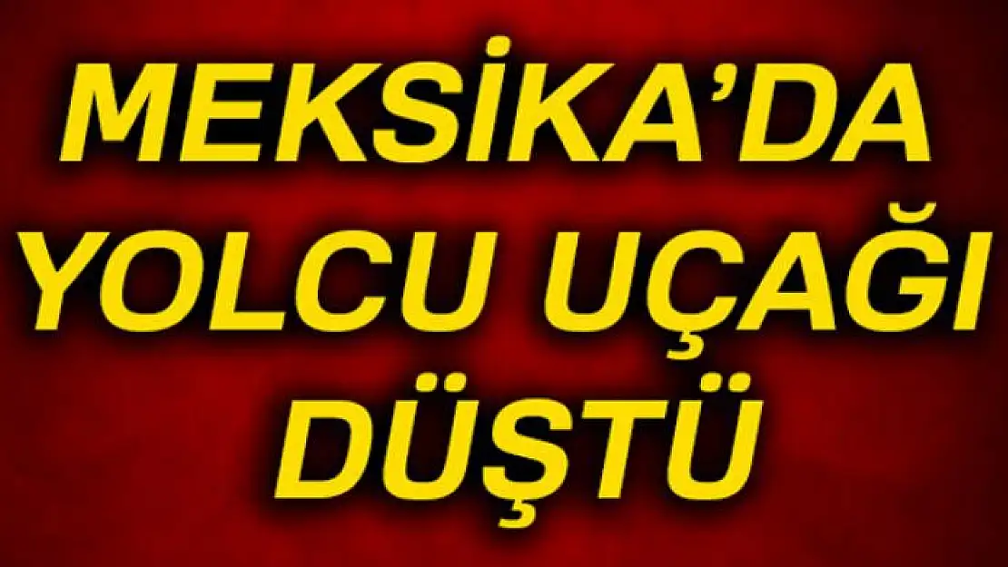 Meksika'da yolcu uçağı düştü