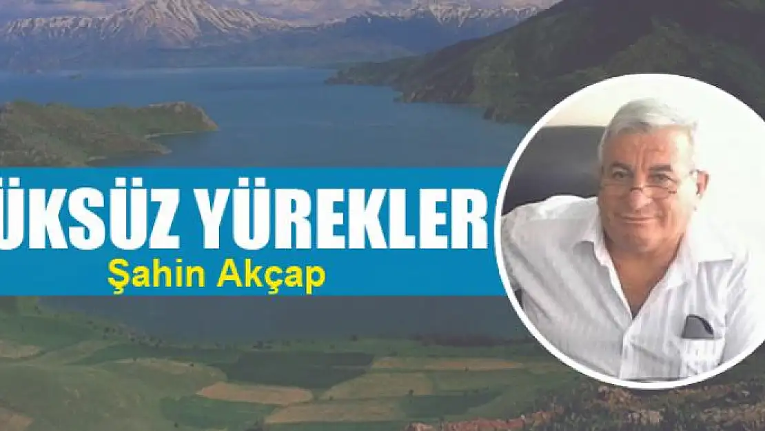 YÜKSÜZ YÜREKLER