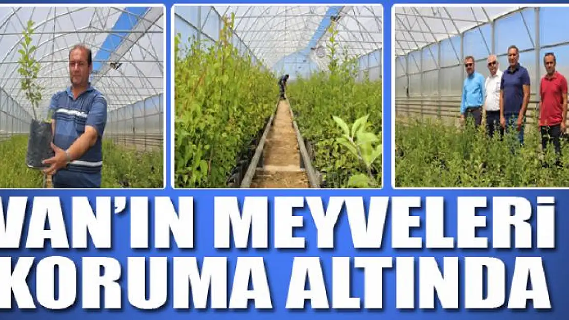 Yok olma tehlikesi bulunan meyveler artık koruma altında