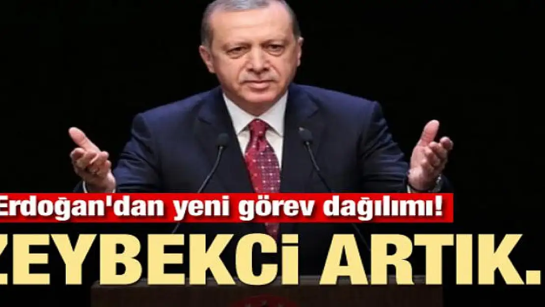 Erdoğan'dan yeni görev dağılımı! Zeybekci artık...