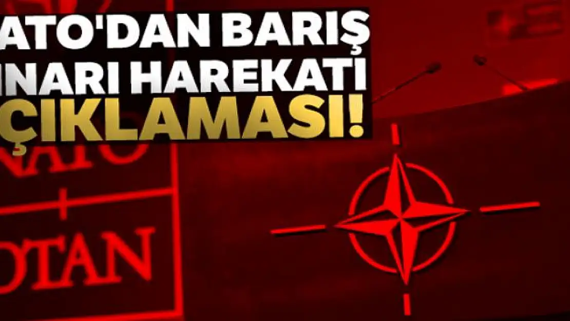 NATO'dan Barış Pınarı harekatı açıklaması!