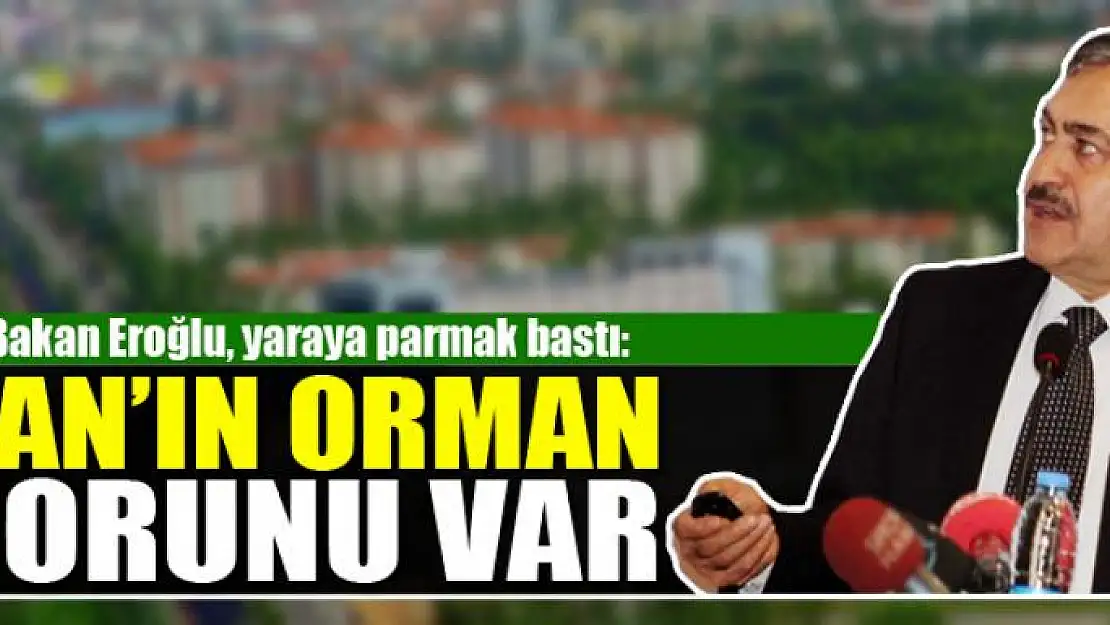 EROĞLU: VAN'IN ORMAN SORUNU VAR