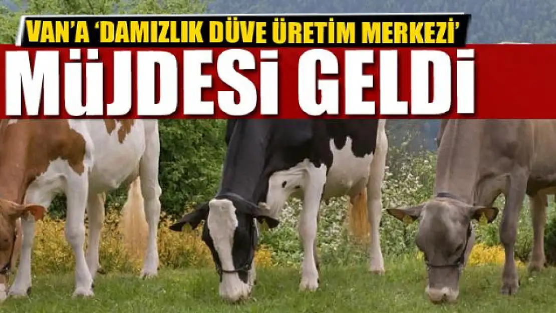 Görentaş'tan 'Damızlık Düve Üretim Merkezi' müjdesi