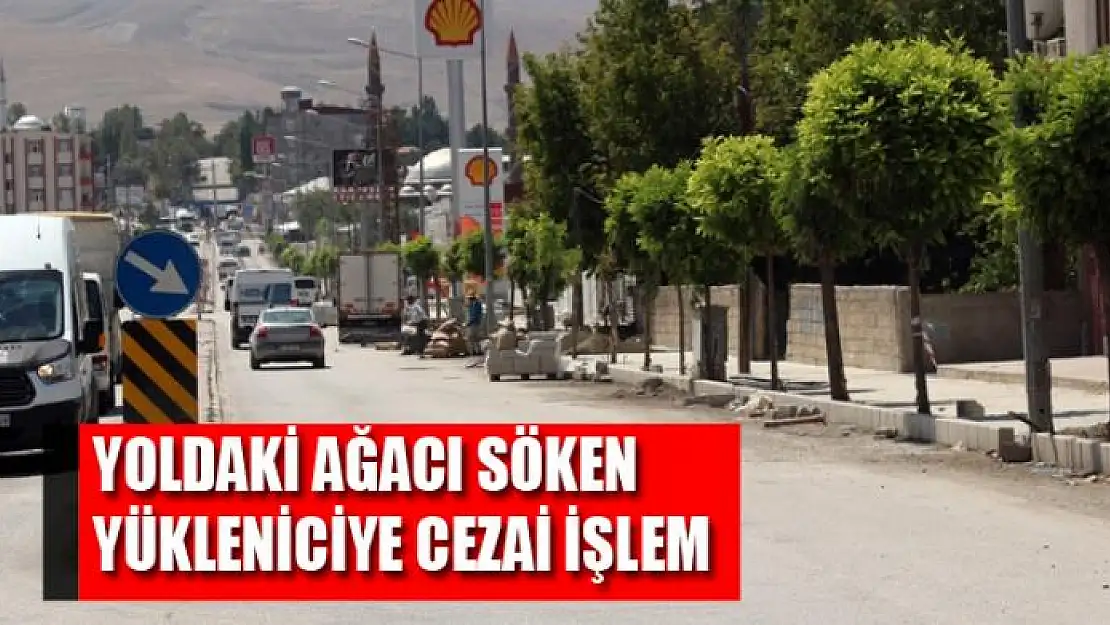 YOLDAKİ AĞACI SÖKEN YÜKLENİCİYE CEZAİ İŞLEM  