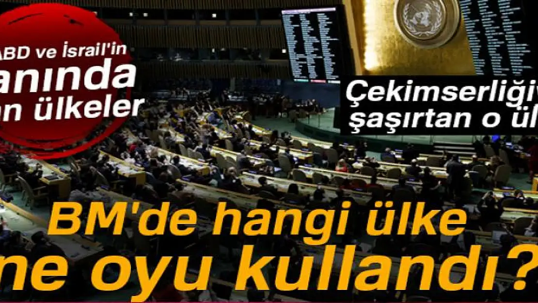 BM'de hangi ülke ne oyu kullandı? 