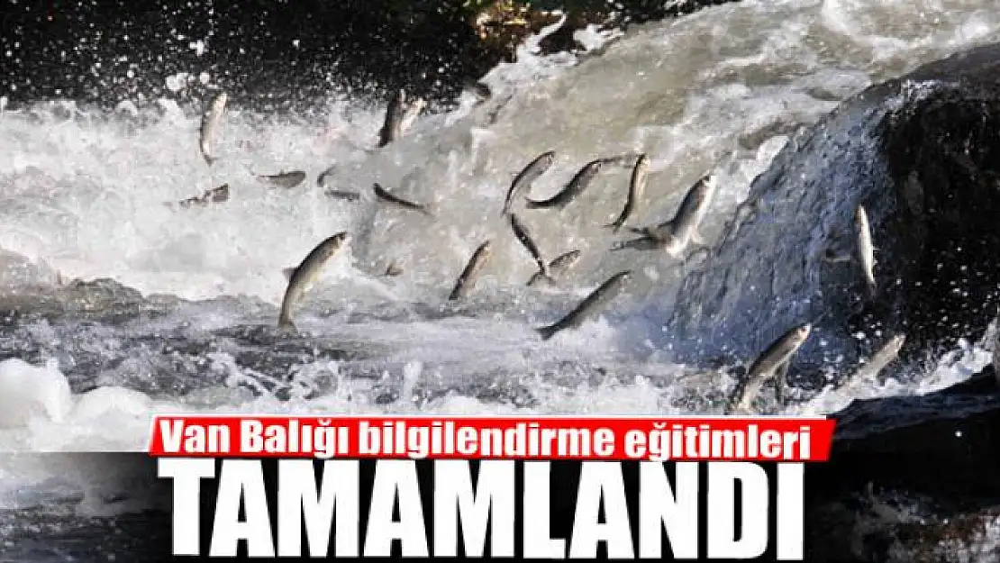 Van Balığı bilgilendirme eğitimleri tamamlandı 