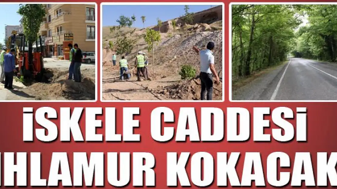 İSKELE CADDESİ IHLAMUR KOKACAK