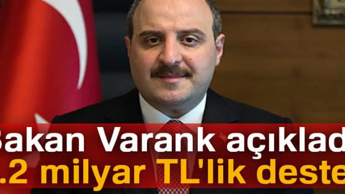 Bakan Varank açıkladı: 1.2 milyar TL'lik destek