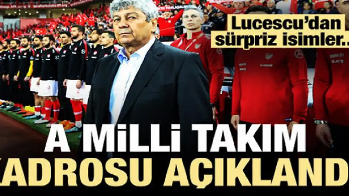 Milli Takım kadrosu açıklandı! Sürpriz...