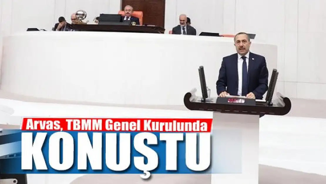 Arvas, TBMM Genel Kurulunda konuştu