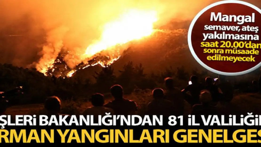 İçişleri Bakanlığı'ndan 81 il valiliğine orman yangınları konulu genelge