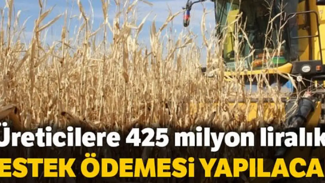 Üreticilere 425 milyon liralık destek ödemesi yapılacak