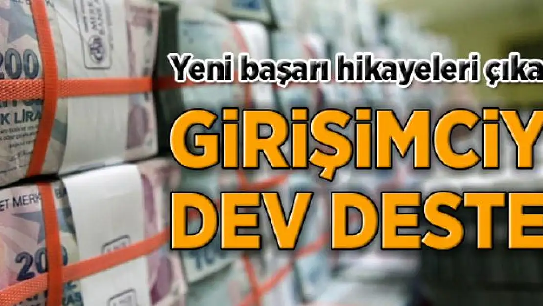 Girişimciye 914 milyon TL  