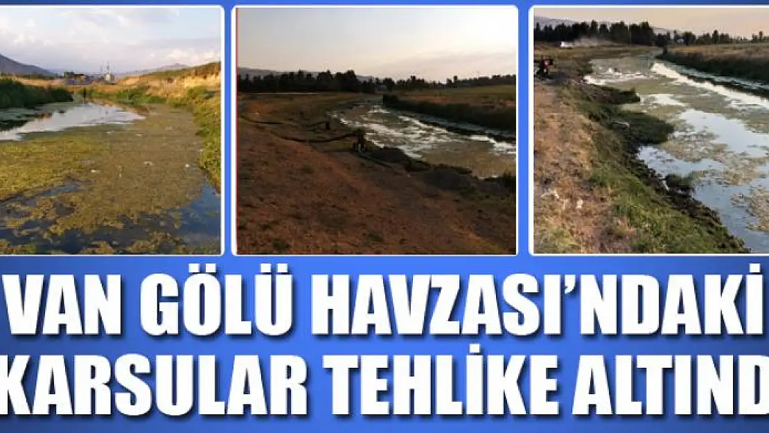 Van Gölü Havzası'ndaki akarsular tehlike altında