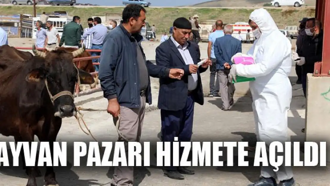 Hayvan pazarı hizmete açıldı