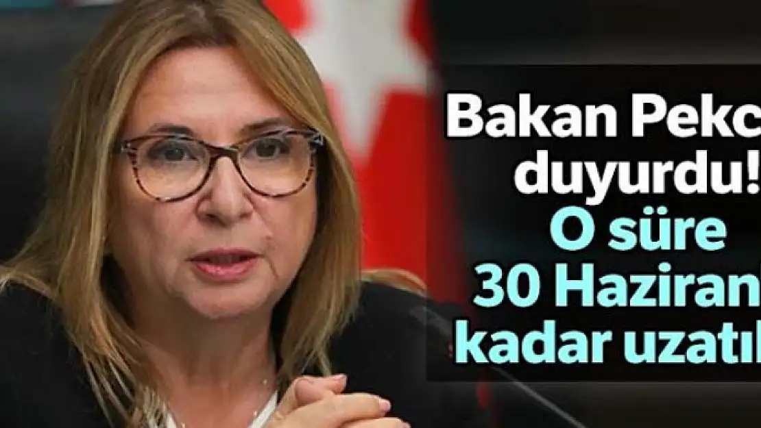 Yabancı plakalı kara taşıtlarının yurtta kalma süresi iki ay uzatıldı