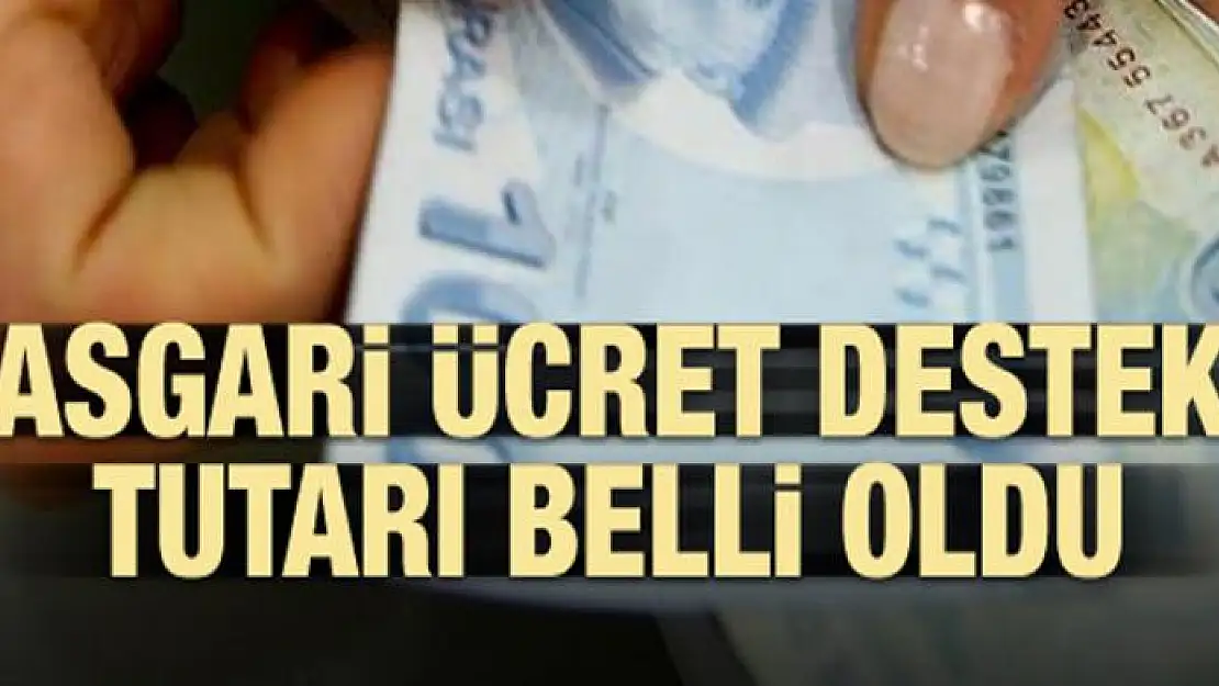 Asgari ücret destek tutarı belli oldu