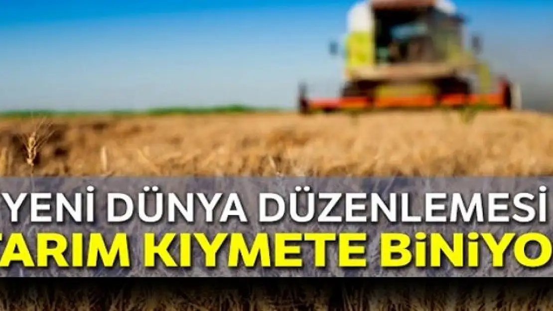 Tarım ve gıda kıymete biniyor