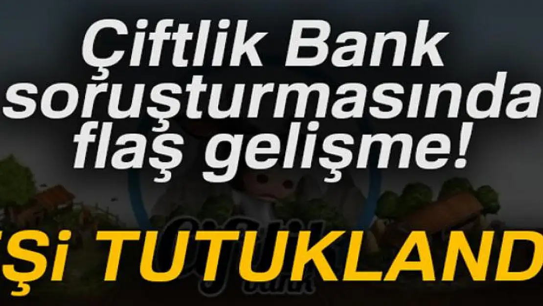 Çiftlik Bank soruşturmasında 2 tutuklama