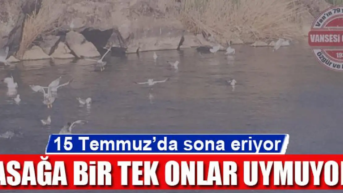 Yasağa bir tek onlar uymuyor