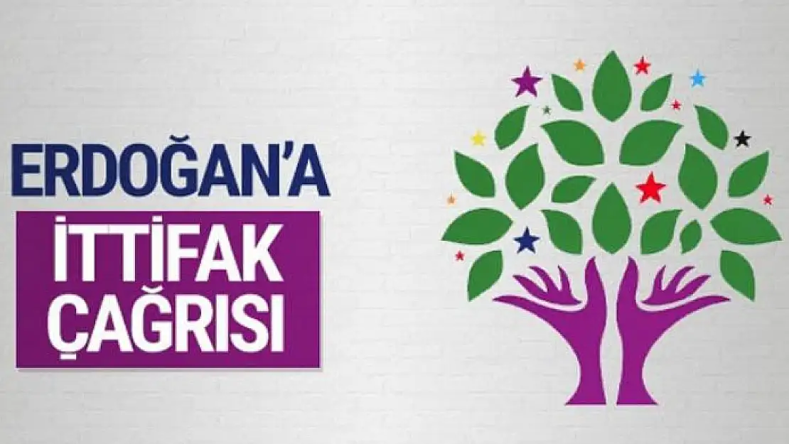 HDP'li Altan Tan'dan Erdoğan'a ittifak çağrısı