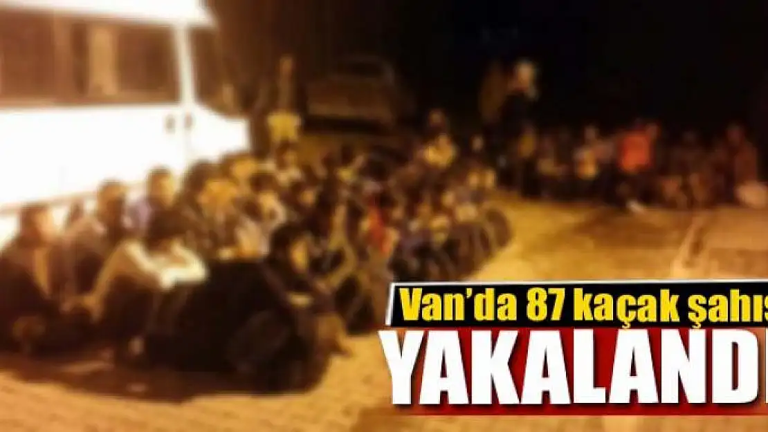 Van'da 87 kaçak şahıs yakalandı