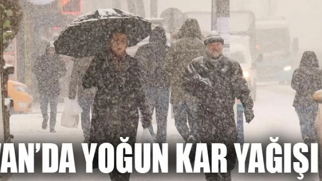 Van'da yoğun kar yağışı