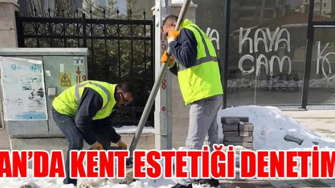 Van'da kent estetiği denetimi