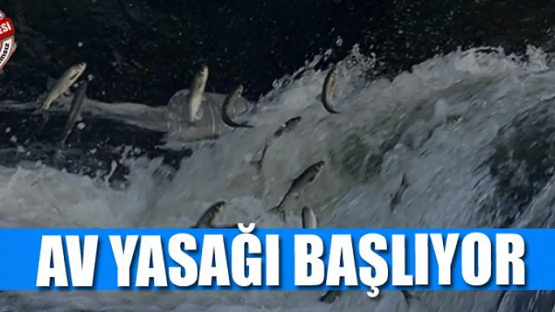  Av yasağı başlıyor 