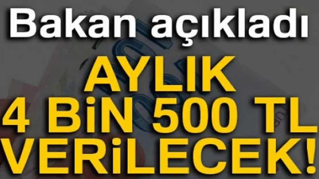 Bakan Varank açıkladı! Aylık 4 bin 500 TL verilecek