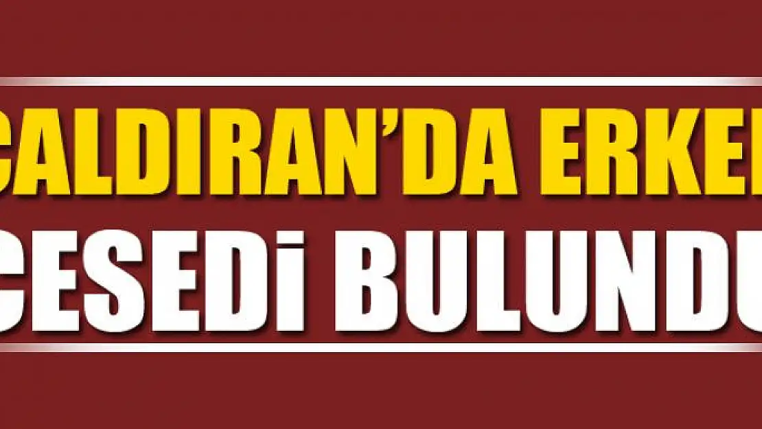 Çaldıran'da erkek cesedi bulundu