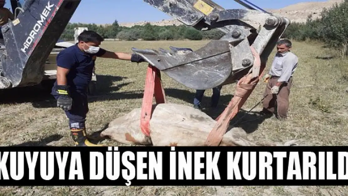 Kuyuya düşen inek itfaiye ekipleri tarafından kurtarıldı