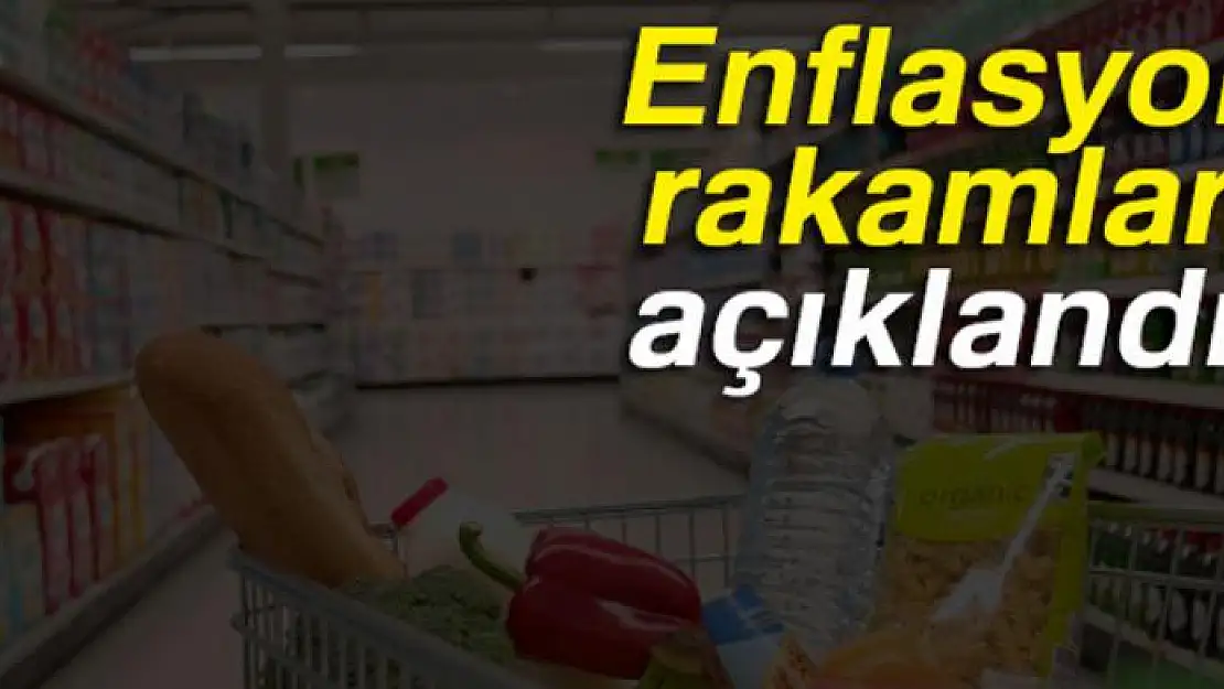 Kasım ayı enflasyon rakamları açıklandı...