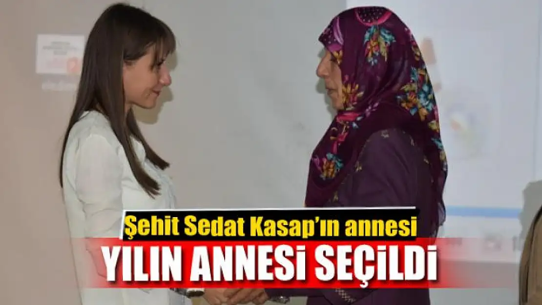 Şehit annesi 'yılın annesi' seçildi