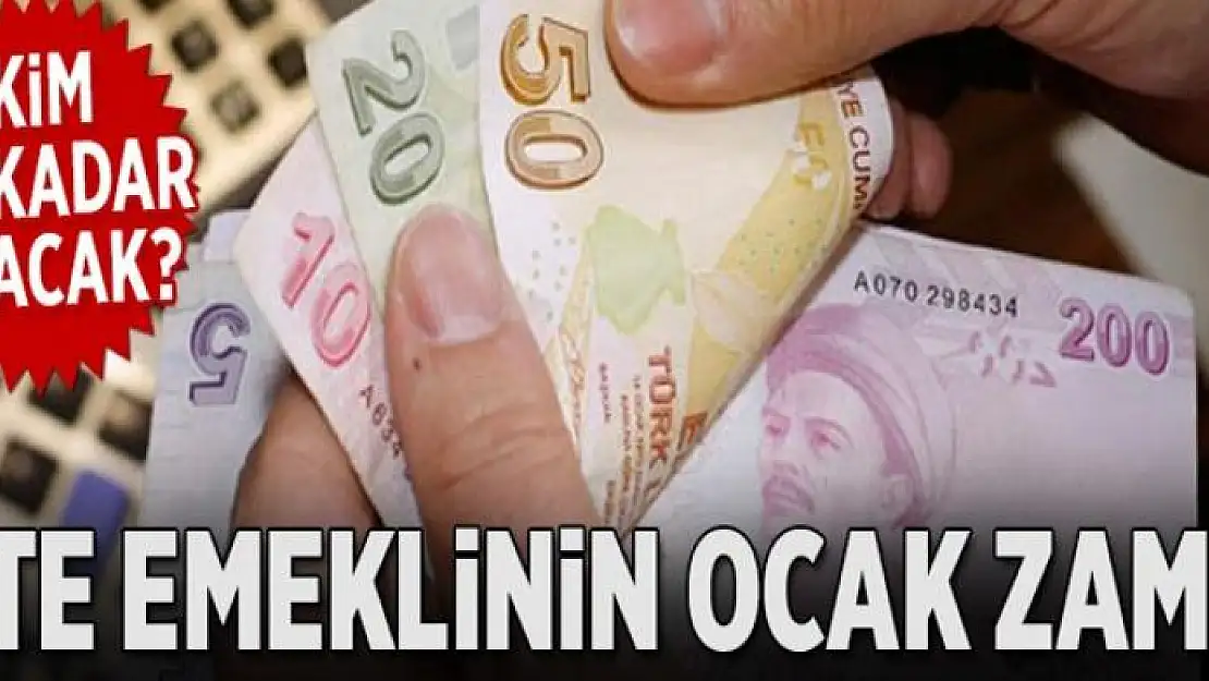 Emeklinin Ocak zammı 234 TL 