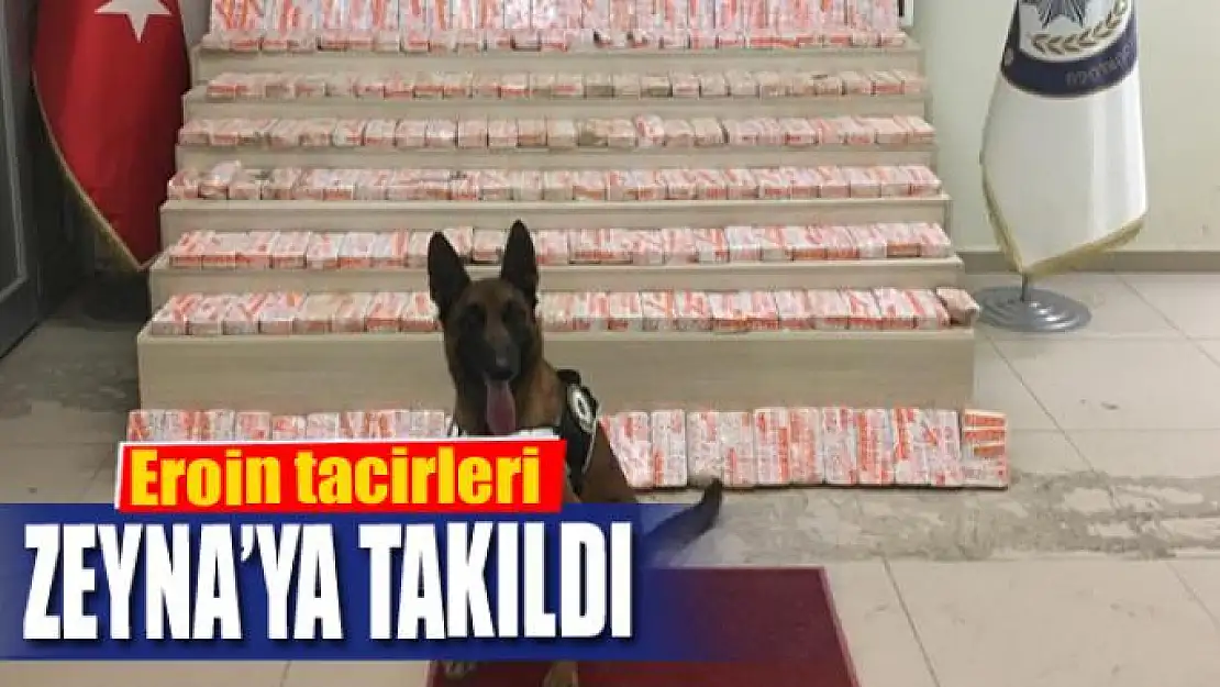 Eroin tacirleri Zeyna'ya takıldı