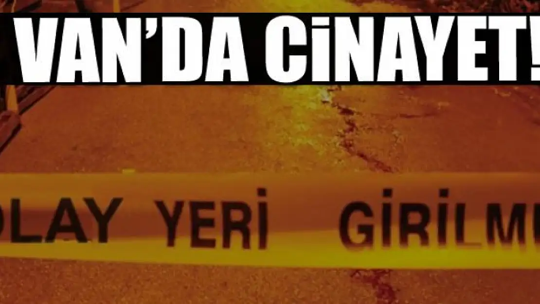 Van'da cinayet!