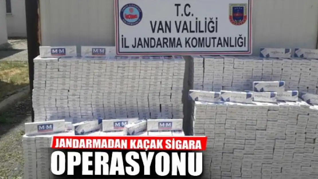 Jandarmadan kaçak sigara operasyonu