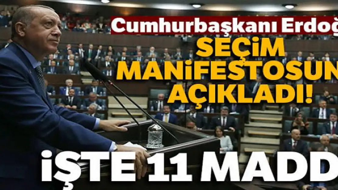 Cumhurbaşkanı Erdoğan AK Parti'nin seçim manifestonu açıkladı